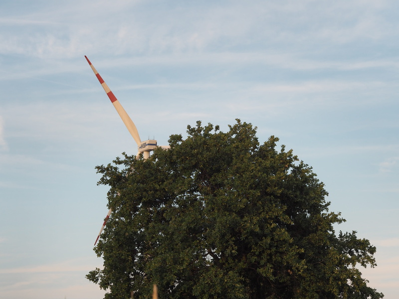 wind, renewable energy, outdoors, tranquility, day, green color, pinwheel, scenics - nature, environmental technology, clouds, building exterior, wind turbine