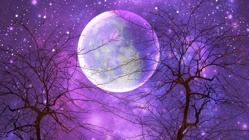 Artistic, Moon, Purple, Sky, Starry Sky, Tree, 1080P