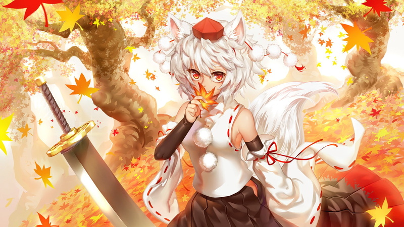 white hair, anime girls, tail, red eyes, 1080P, Inubashiri Momiji, Touhou, Okamimimi, animal ears, detached sleeves, anime