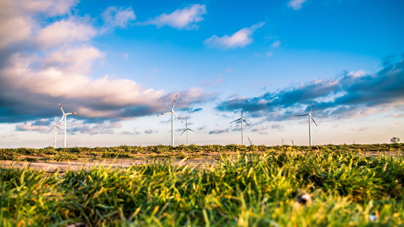 green, farm, 4K, wind, energy, sustainable