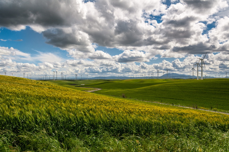 cereal, wind power, day, green energy, 4K, environment, farmland, eolien, field, land, windmill, sunny day, plant, blue, rural scene, hill, green color