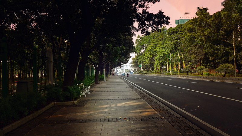 the way forward, transportation, nature, diminishing perspective, street, day, sidewalk, long, sautrday, tree, green, morning, no people, way, architecture