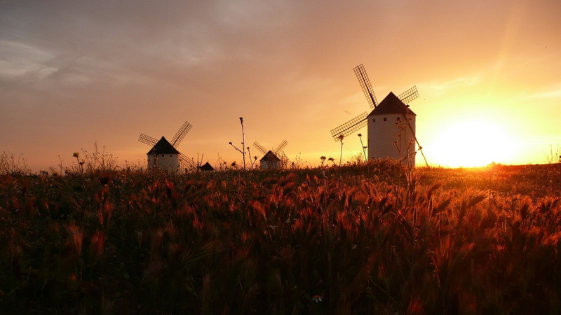 field, sunset, 1080P, windmill