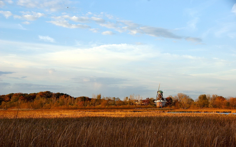 agriculture, crop, sky, beauty in nature, grass, scenics - nature, land, cloud - sky, machinery, 1080P, farm, plant, windmill, landscape, nature, no people