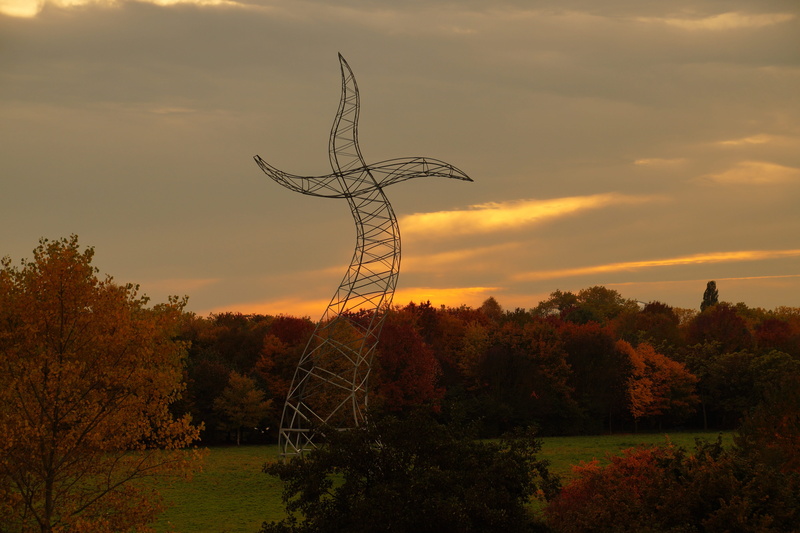 orange color, current, pylon, tranquil scene, steel, landscape, sunset, scenics - nature, trees, non-urban scene, structure, risk, tranquility, tree, electric