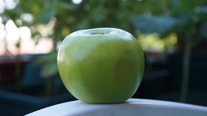 wellbeing, granny smith apple, fruit, nature, day, water, freshness, apple - fruit, no people, food and drink, close-up, healthy eating, substations and