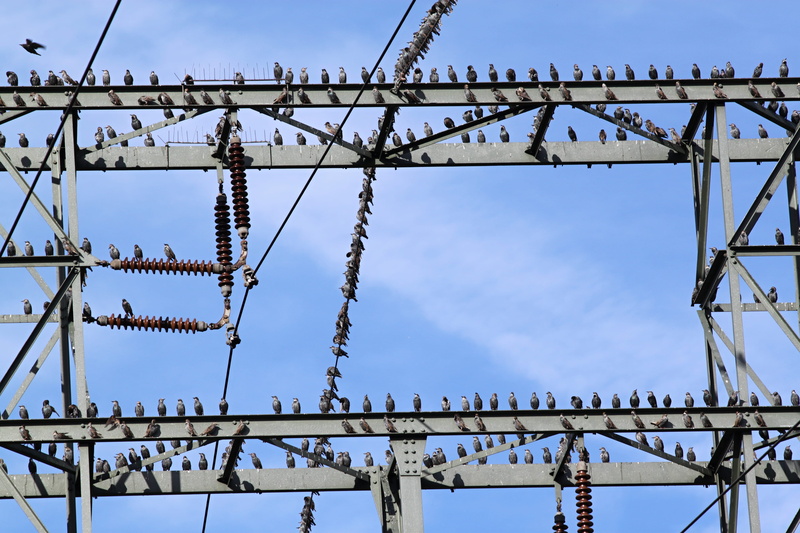 electricity, wire, star, architecture, outdoors, cloud - sky, barbed Wire, bridge, meeting point, technology, built structure, fuel and power generation