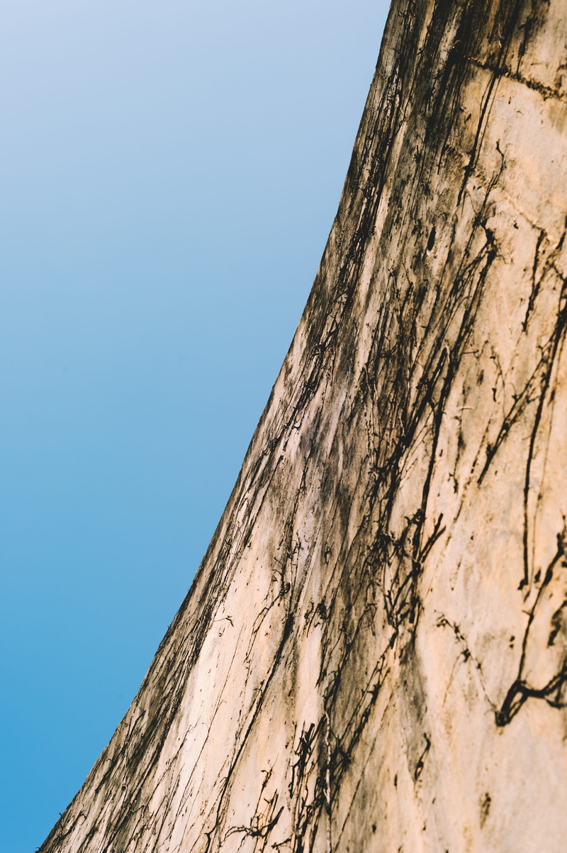 tree trunk, close-up, sky, 4K, pattern, south korea, plant, wall, oil tank culture park, copy space, old, line, sunlight, tree, trunk, no people, weathered