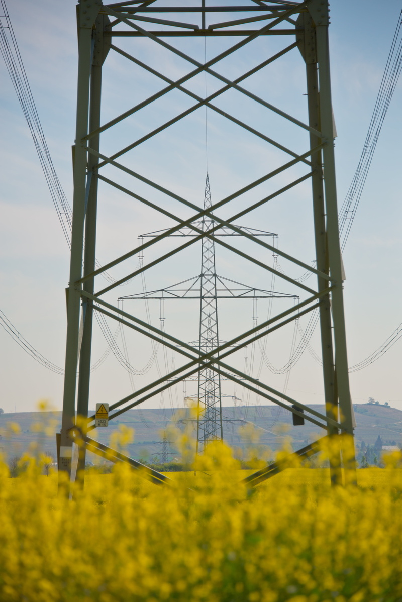 solar energy, electric light, overhead line, outdoors, spring, rural, sky, field, power supply, blossom, day, architecture, agriculture, cultivation, plant
