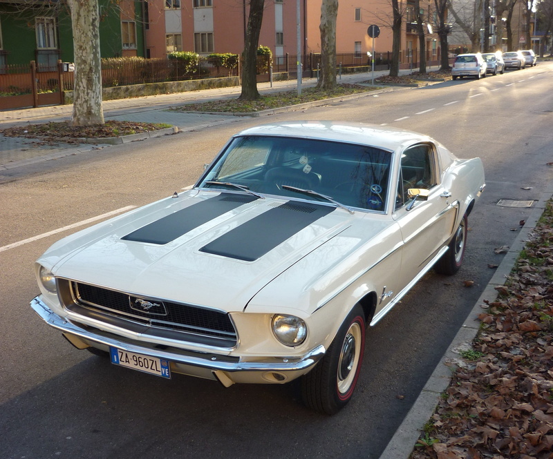 daytime, stationary, luxury, mode of transportation, land vehicle, outdoors, car, 2K, trees, ford, retro styled, near, concrete, motor vehicle, vintage car