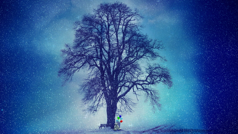 star - space, bench, beauty in nature, star, lonely, emotion, sky, environment, tranquil scene, plant, fantasy, exposed, astronomy, surreal, wintry, frost