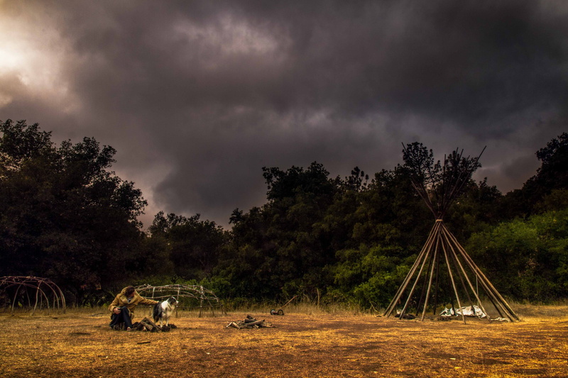 overcast, transportation, animal, exposed, beauty in nature, landscape, thunderstorm, encampment, sky, growth, storm, scene, animal themes, cloud - sky