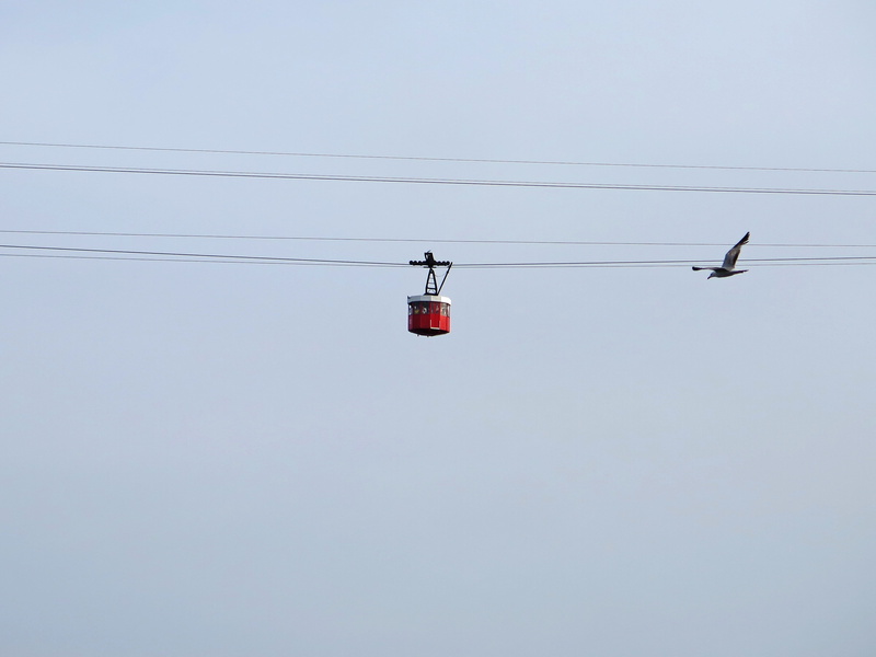 cable car, spain, overhead cable car, tourism, connection, bird, mediterranean, city, old, cable, mode of transportation, technology, day, transportation