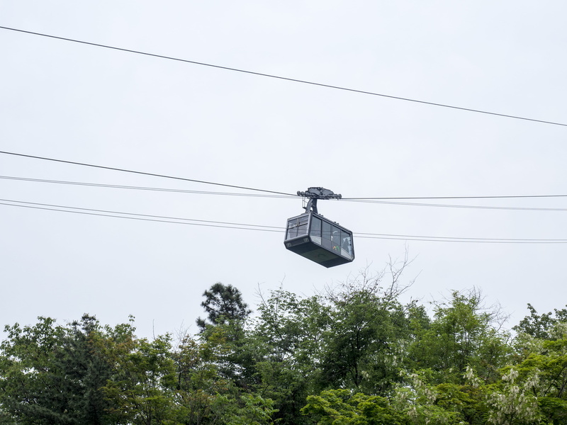 4K, tree, plant, trees, connection, low angle view, cable, outdoors, cable car, electrical equipment, clear sky, light, day, transport, electricity, overhead cable car