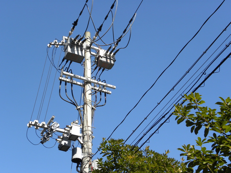 pole, energy, Post, Electric Wire, sunlight, electricity, outdoors, industry, no people, distribution, electric, plant, tree, electricity Pylon, voltage