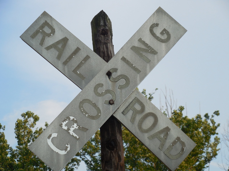 information, nature, transportation, tree, signal, stop, road, day, low angle view, cross, text, railroad crossing, travel, sign, plant, warning, railway