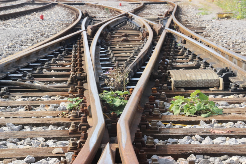 solid, wood - material, growth, metal, 5K, junction, plant, outdoors, railroad track, railway, transportation, day, plants, track, gravel, high angle view
