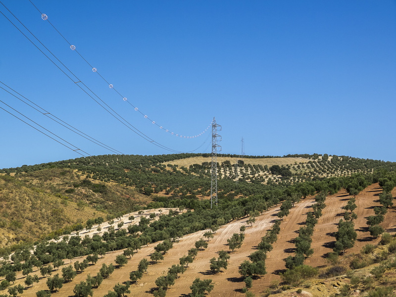 cable, blue, field, day, landscape, olives, agriculture, land, high-voltage tower, nature, scenics - nature, power lines, power line, connection, no people