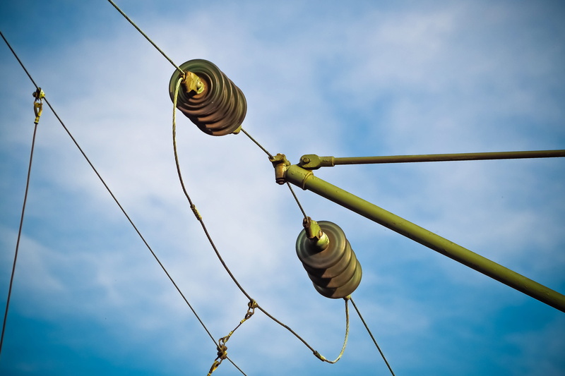 risk, mollusk, electrical equipment, lines, high voltage, Electricity, animal themes, upper lines, voltage, electric current, power lines, sky, rope, focus on foreground
