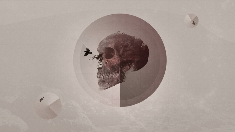 pattern, nature, circle, composite image, birds, geometry, sky, indoors, raven, skull, architecture, ceiling, art and craft, human representation, creativity