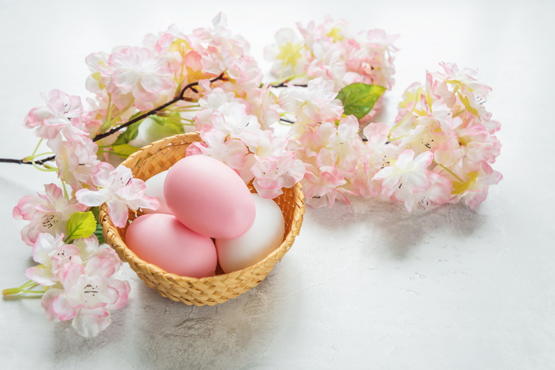 indoors, spring, springtime, flower head, still life, pink color, celebration, flowers, 5K, Easter, decoration, food and drink, Happy, flower, easter egg