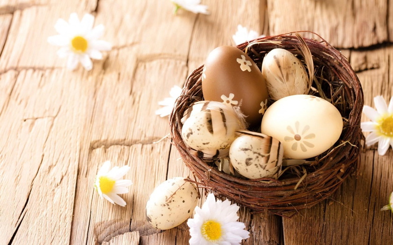 eggs, 720P, flowers, brown, daisies, white, egg, easter