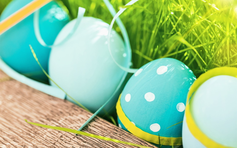 Eggs, Grass, Spring, Easter, Color, Blue, 2K, teal, Happy