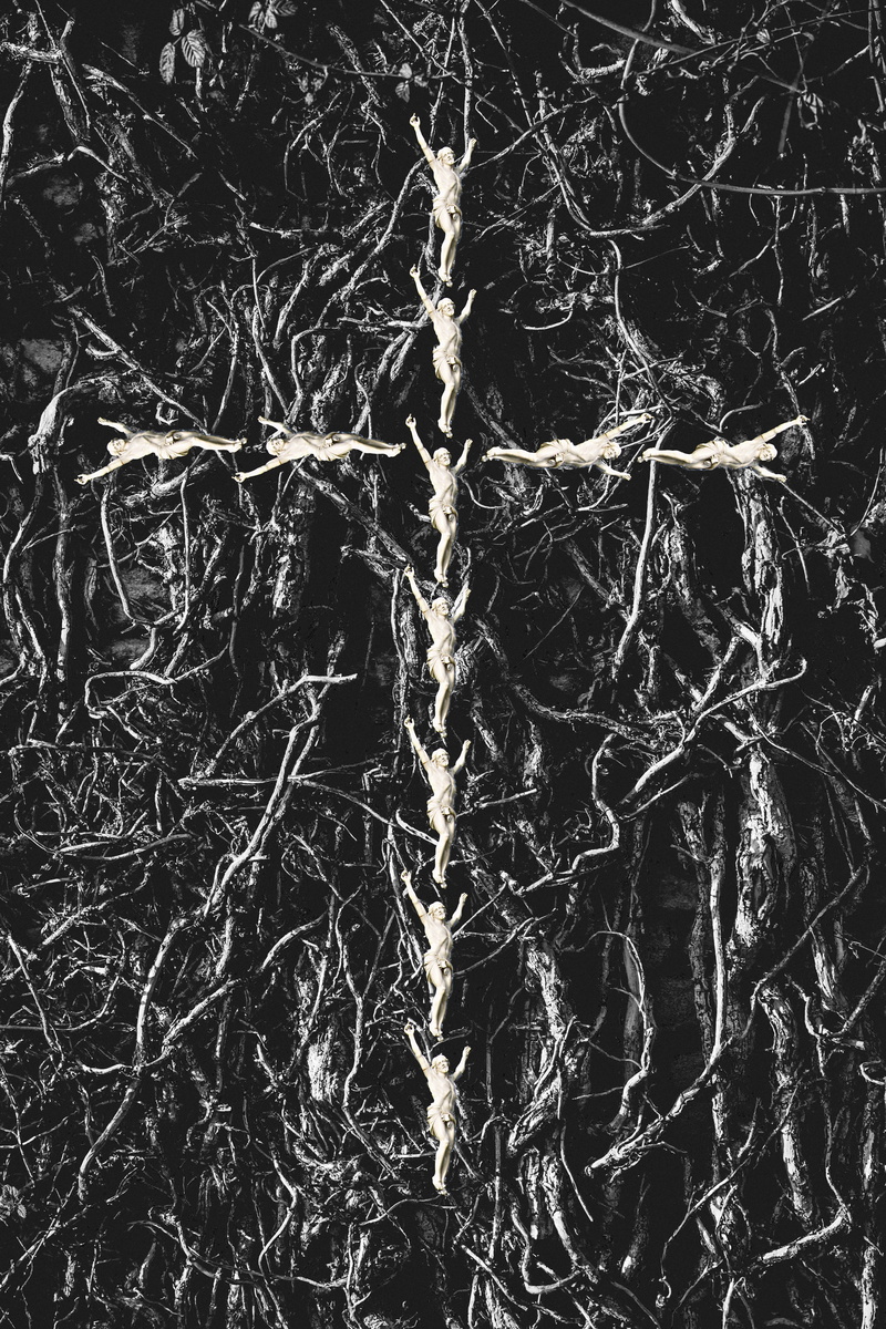 christian, root, tangled, spirituality, tree, hope, ivy, dry, nature, christ, worship, winter, bare tree, dead plant, outdoors, 5K, textured, pattern
