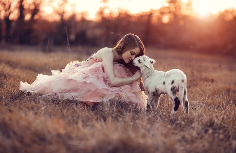 women outdoors, childhood, domestic animals, girls, child, women, tree, people, 2K, hairstyle, offspring, togetherness, plant, domestic, dog, model, lamb