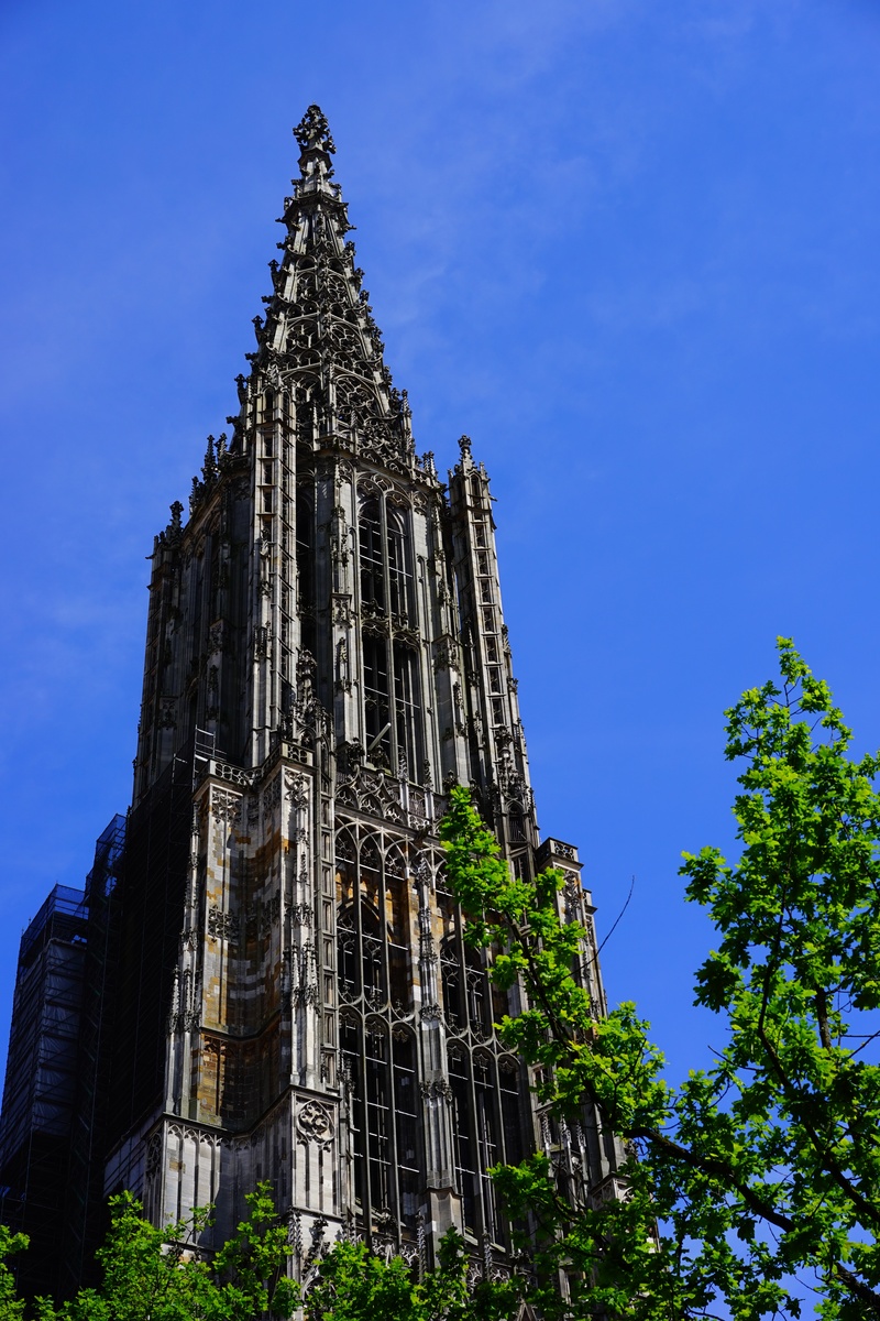 religion, record height, belief, christianity, history, place of worship, gothic, built structure, late gothic, spire, dom, facade, old building, low angle view