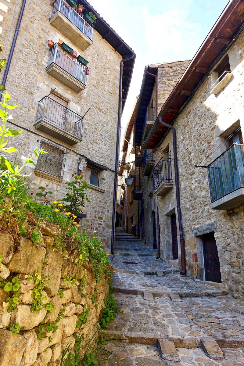 architecture, landscape, built structure, historic, scenic, no people, plant, street, nature, stone, footpath, residential district, the way forward, window