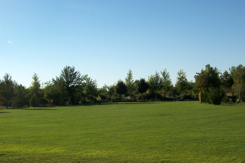 photos, environment, landscape, outdoors, copy space, beauty in nature, pulgosa, plant, tranquility, tree, summer, La, growth, Suburban, sports And Fitness