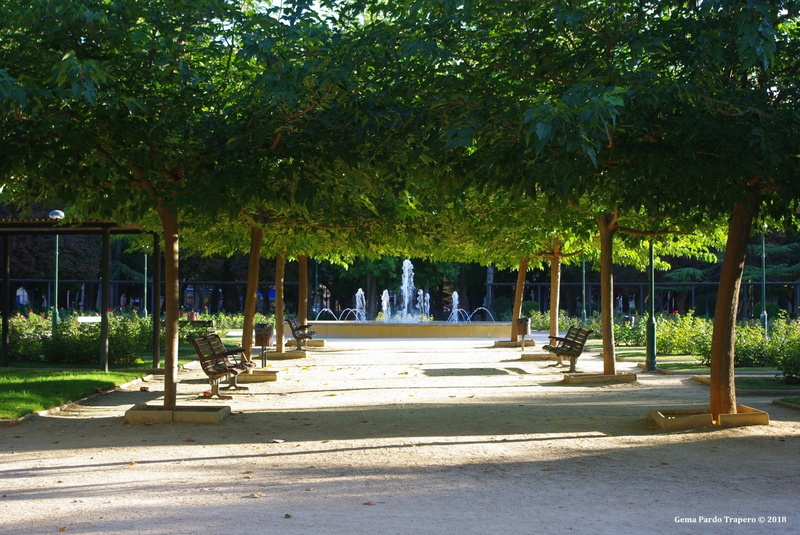 Tree, Fountain, Photography, Park, Albacete, 1080P, Spain, Bench