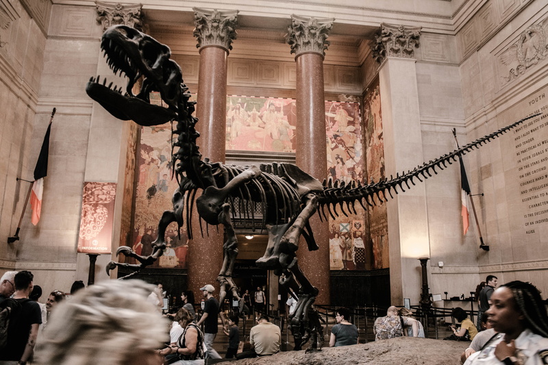 person, new york, large group of people, reception room, human, reception, american museum of natural history, human representation, people, skeleton, waiting room