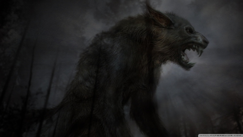 Black, TagNotAllowedTooSubjective, photography, fantasy, hd, wolves, abstract, art, fantasy art, 1080P