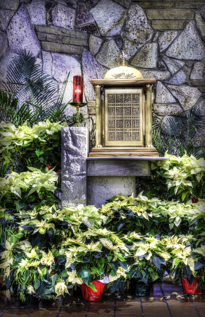 day, tabernacle, tree, house, chapel, outdoors, architecture, christianity, front or back yard, plant, eucharist, building, nature, gold, religious, green color