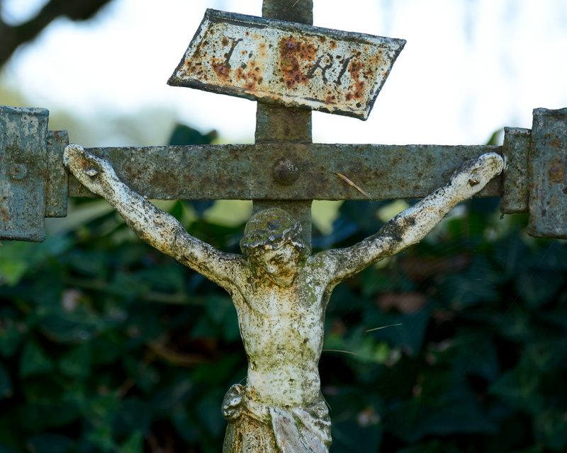 old, believe, sign, rusty, 4K, focus on foreground, rust, weathered, nostalgia, iron, plant, metal, religion, wood - material, outdoors, damaged, cross