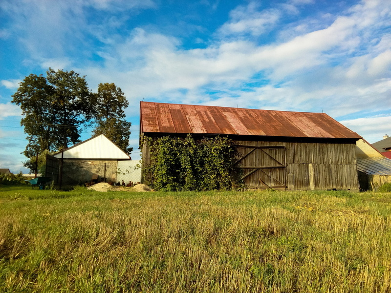 agriculture, farmer, stubble, grass, day, building, village africa, holy cross mountains, poland, no people, field, old barn, poland village, sky, tree