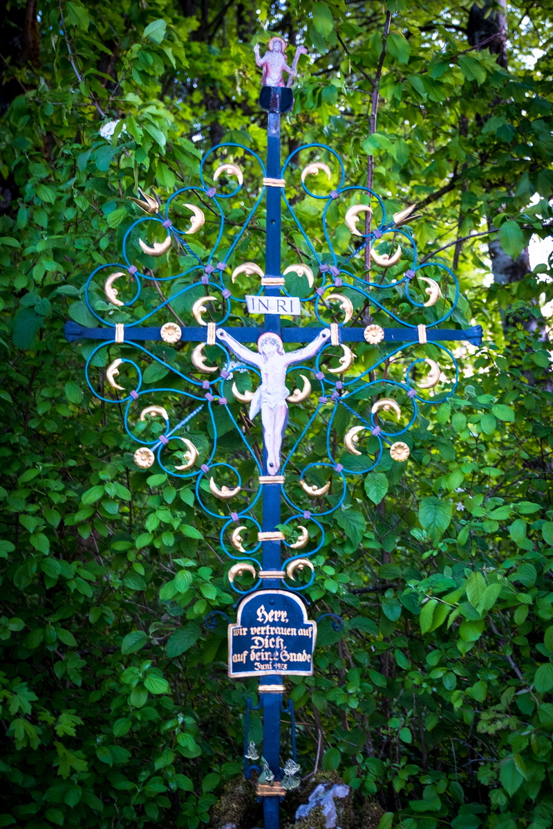 close-up, believe, growth, green, wrought iron, ivy, catholic, cross, 4K, jesus, art and craft, leaf, tree, no people, metal, plant part, sign, day, green color