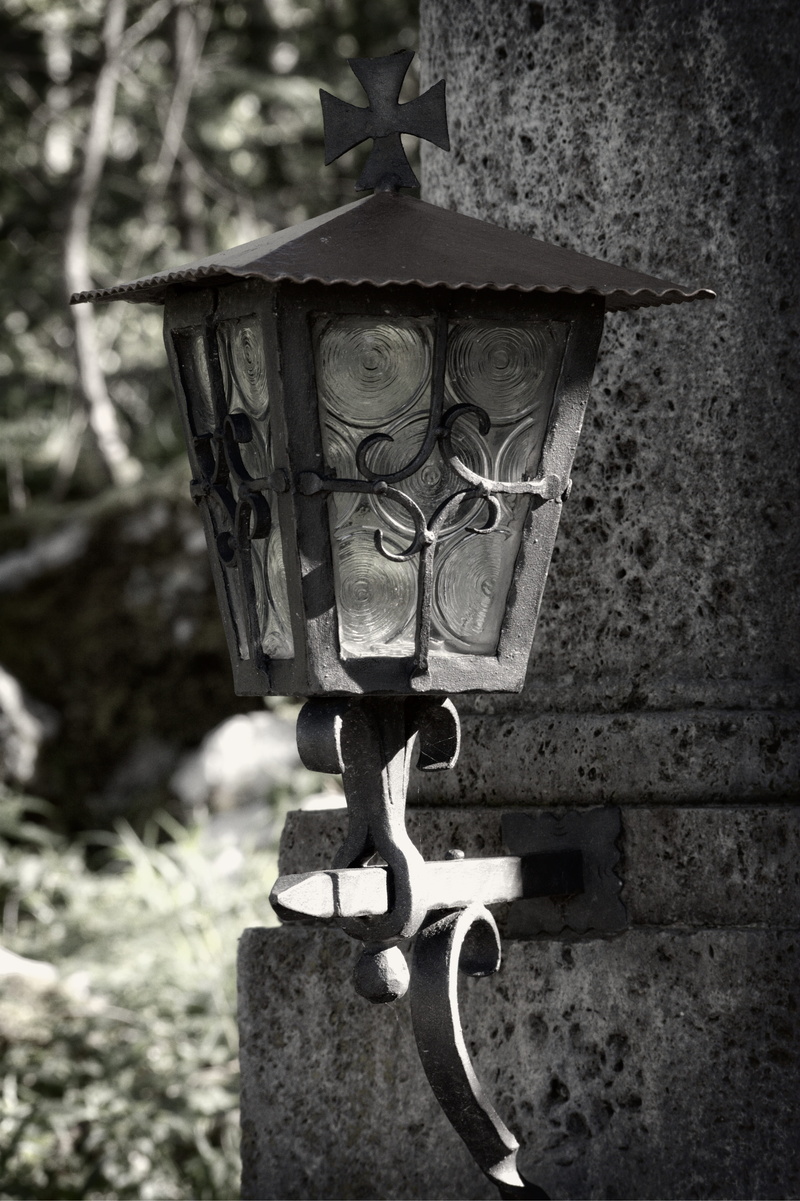 plant, focus on foreground, 5K, blacksmithing, electric lamp, metal, hanging, candlestick, birdhouse, lighting, floral pattern, tree, lamp, antique, memorial light