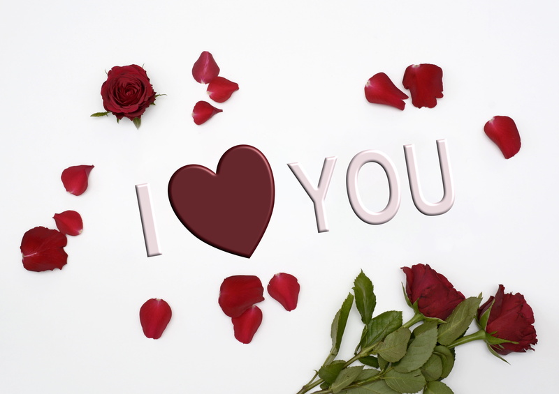 flower, valentines day, love, wedding day, plant, plant part, white background, romance, beauty in nature, valentines day - holiday, bloom, red roses, heart shape