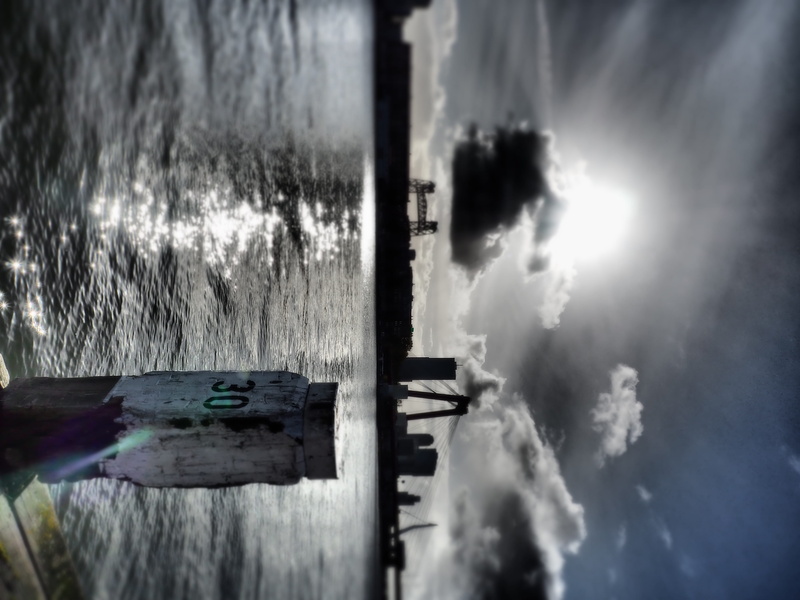 sunlight, erasmusbrug, transportation, no people, tranquility, river, close-up, dehef, willemsbrug, outdoors, wooden post, reflection, sky, 4K, selective focus