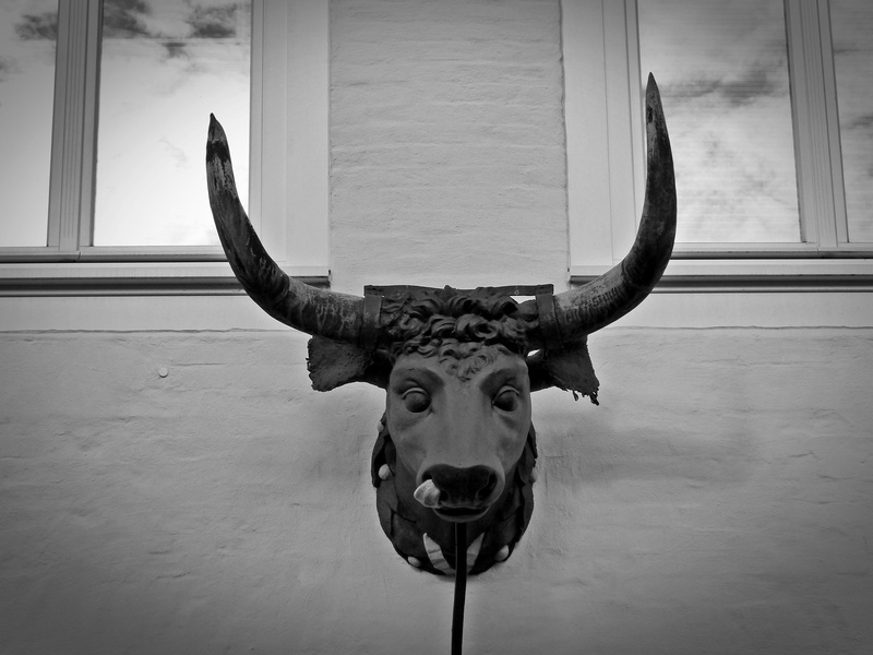animal, no people, one animal, livestock, wall decoration, taxidermy, horned, wall - building feature, bull head, decorative, motif, metal, indoors, decoration