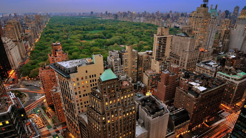 ny, central park, park, 4K, city, new york
