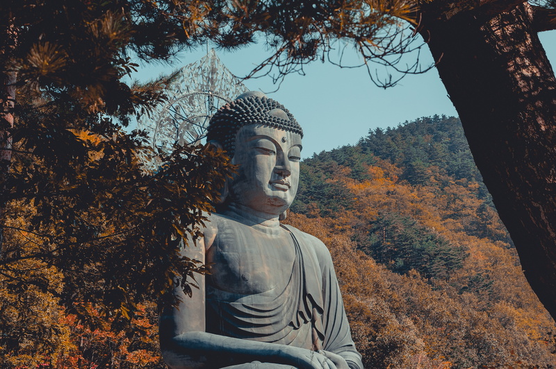 statue, outdoors, buddha, bronze, sky, sculpture, art and craft, belief, change, representation, religion, autumn, idol, seoraksan, human representation