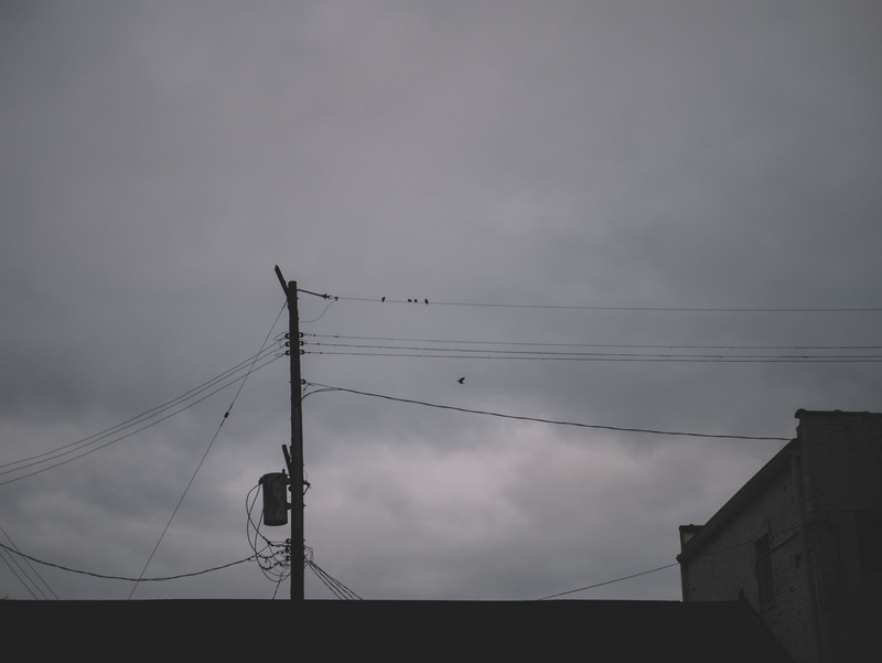 outdoors, silhouette, electricity pylon, built structure, birds, bird, morning, connection, power supply, south broad street, autumn, flock of birds, michigan