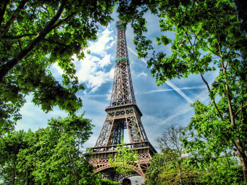 animals, 1080P, france, d, eiffel, tour, trees, paris