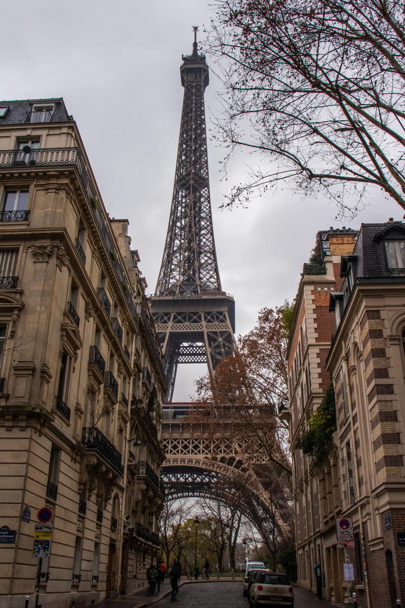 office building, plant, iron - metal, tree, street, tower, town, building exterior, human, france, tour eiffel, car, paris, transportation, incidental people