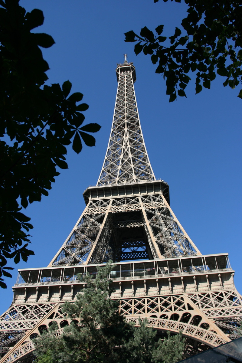city, built structure, famous, tower, metal, nature, iron - metal, plant, vista, france, 4K, architecture, tourism, sky, outdoors, the past, history, no people