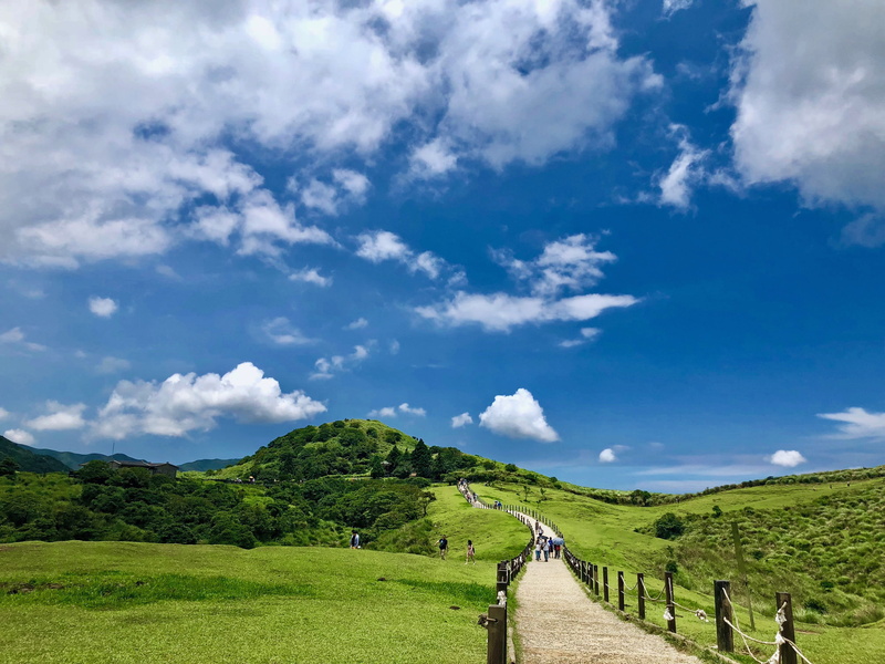 tree, the way forward, sky, day, land, cloud - sky, green color, taipei, plant, direction, sun ming shan, mountains, tranquil scene, clouds, prairie, grass